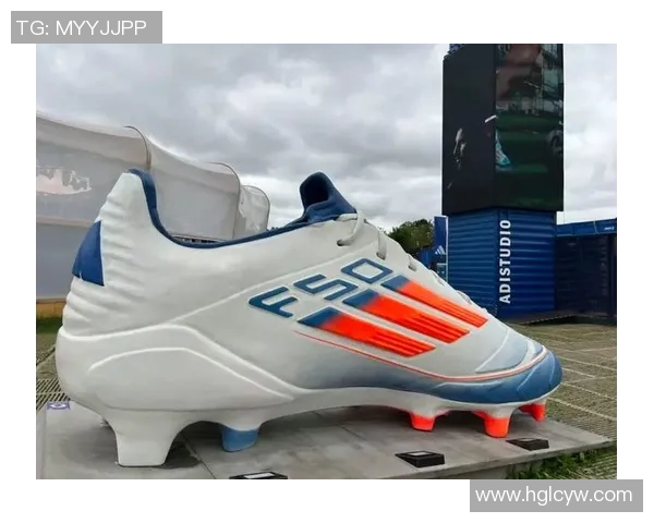 足球明星们穿的足球鞋价格揭秘及其背后的品牌故事