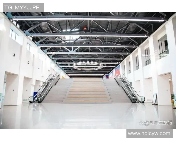 篮球明星走廊的传奇故事与他们背后的奋斗历程揭秘